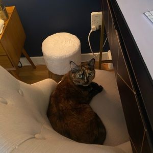 Meet your Posher, Sung